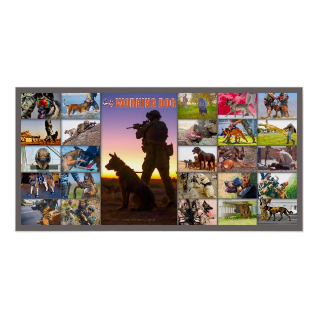 US MILITARY WORKING DOG "MONTAGE" POSTER (Front)