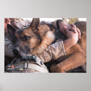 US MILITARY WORKING DOG POSTER