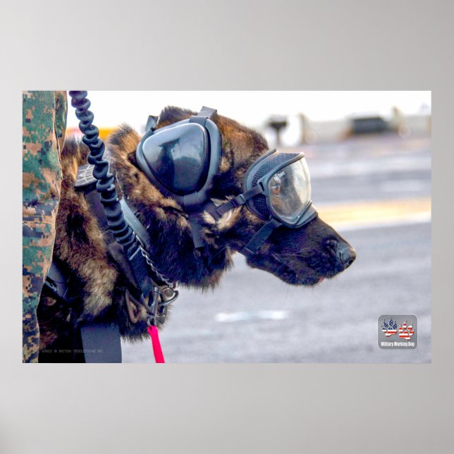 US MILITARY WORKING DOG POSTER (Front)