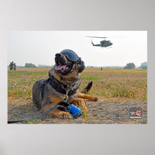 US MILITARY WORKING DOG POSTER