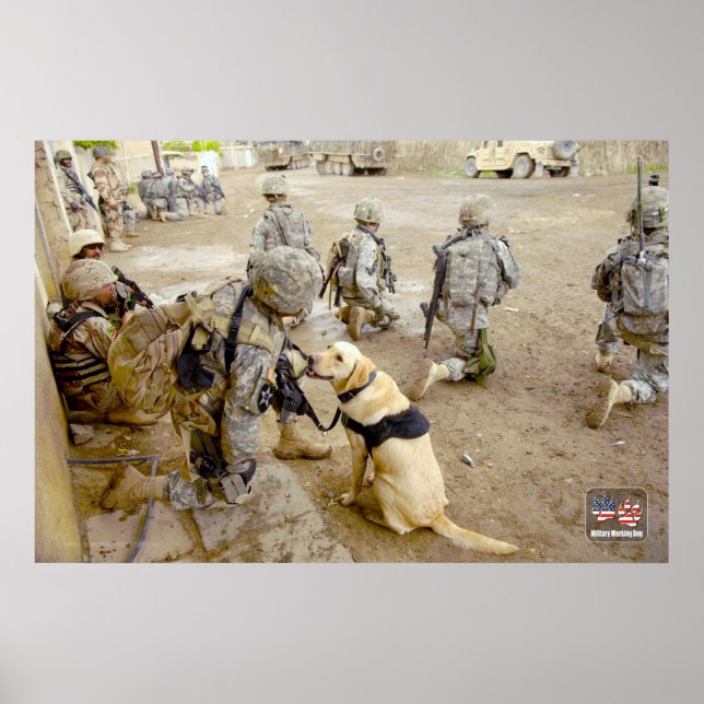 US MILITARY WORKING DOG POSTER (Front)