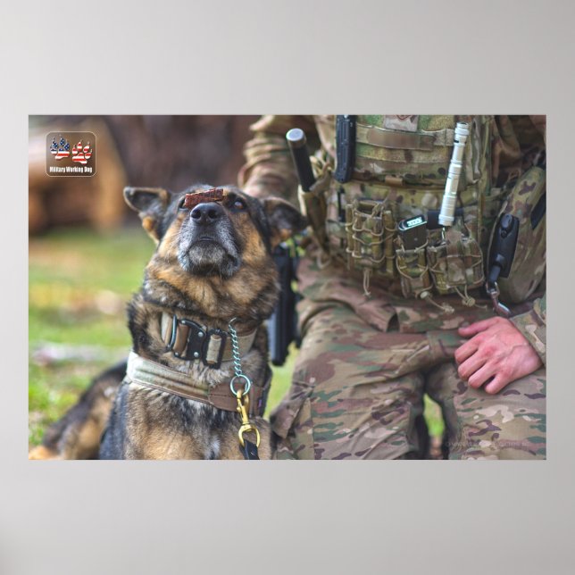 US MILITARY WORKING DOG POSTER (Front)
