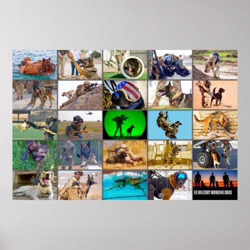 US MILITARY WORKING DOGS MONTAGE POSTER