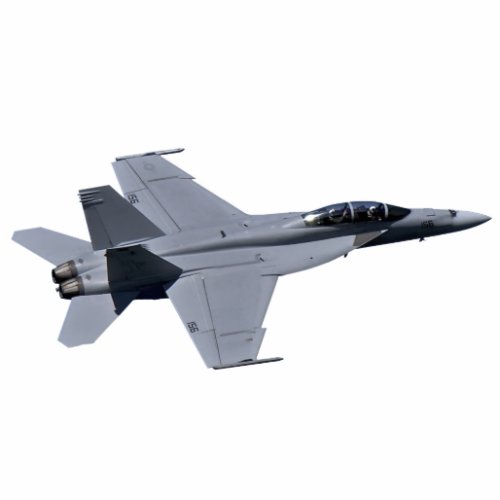 US NAVY F18 Super Hornet Photo Sculpture