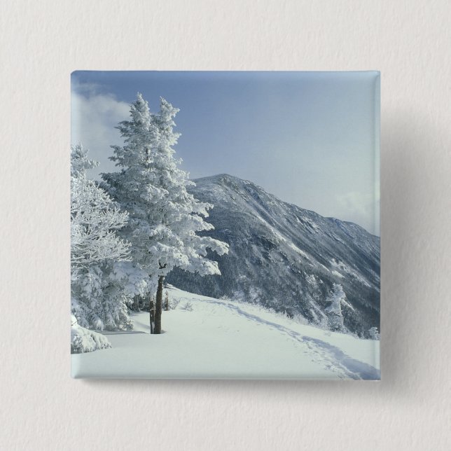 US, NH, Snow covered trees Trails Snoeshoe Button (Front)
