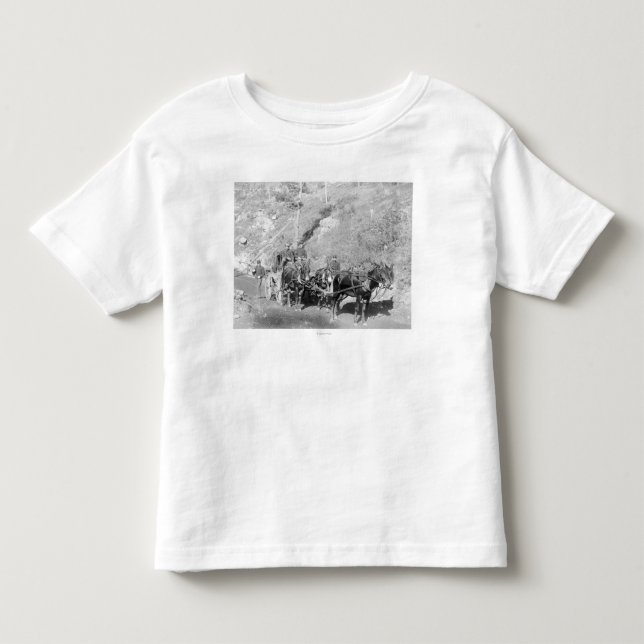 US Paymaster and Guards on Deadwood Road Toddler T-shirt (Front)
