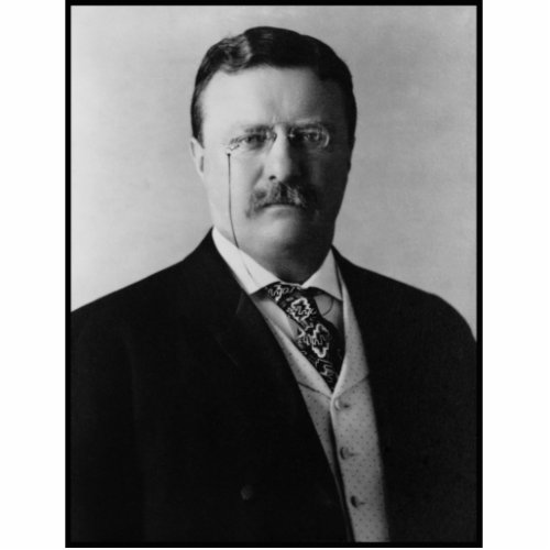 US President Theodore Teddy Roosevelt Portrait Cutout