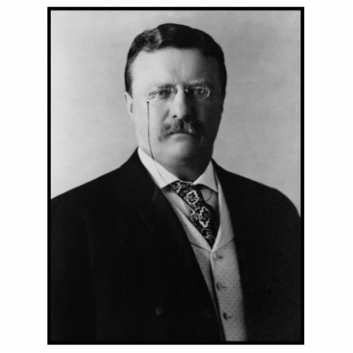 US President Theodore Teddy Roosevelt Portrait Cutout