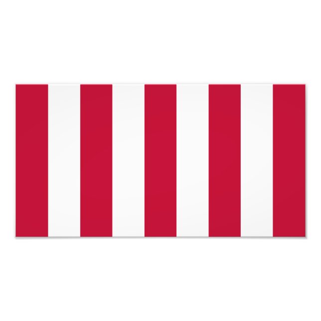  US Sons Of Liberty 9 Stripes Flag Photo Print (Front)