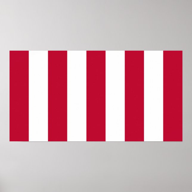  US Sons Of Liberty 9 Stripes Flag Poster (Front)