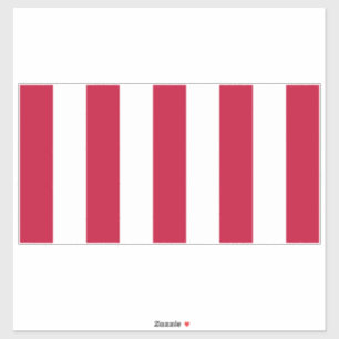 US Sons Of Liberty 9 Stripes Flag Sticker