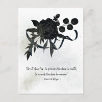 US | Sympathy Card – Black Rose