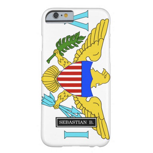 US Virgin Islands flag Barely There iPhone 6 Case