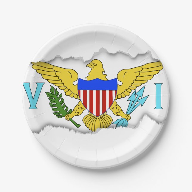 US Virgin Islands flag Paper Plates (Front)