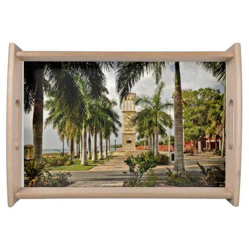 US Virgin Islands St Croix Palm Trees Tropical  Serving Tray