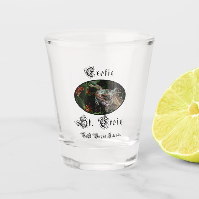 US Virgin Islands St. Croix USVI Caribbean Iguana  Shot Glass (Front)