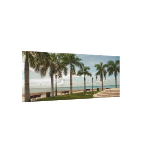 US Virgin Islands Tropical Palm Trees Ocean Canvas Print