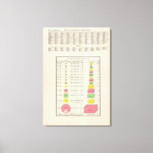 US Viticulture, 1889 Canvas Print