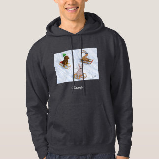 US Winter hoodie sledding