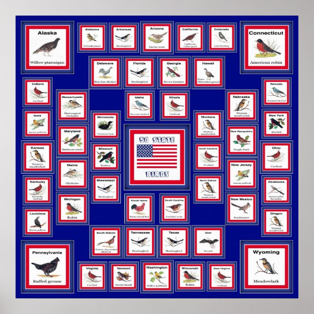 USA 50 STATE BIRDS BLUE/552 POSTER (Front)