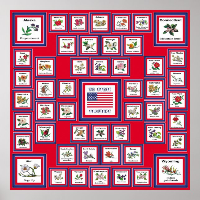 USA 50 STATE FLOWERS RED/560 POSTER (Front)