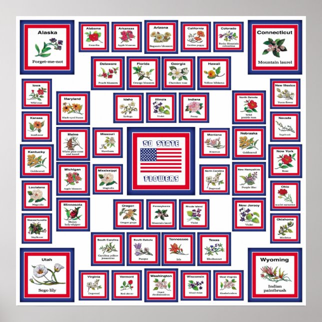 USA 50 STATE FLOWERS WHITE/559 POSTER (Front)