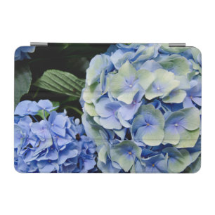 USA, Alabama, Theodore Near Mobile 2 iPad Mini Cover