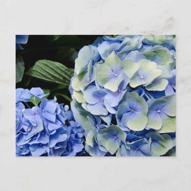 USA, Alabama, Theodore Near Mobile 2 Postcard (Front)