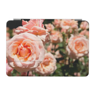USA, Alabama, Theodore Near Mobile 5 iPad Mini Cover