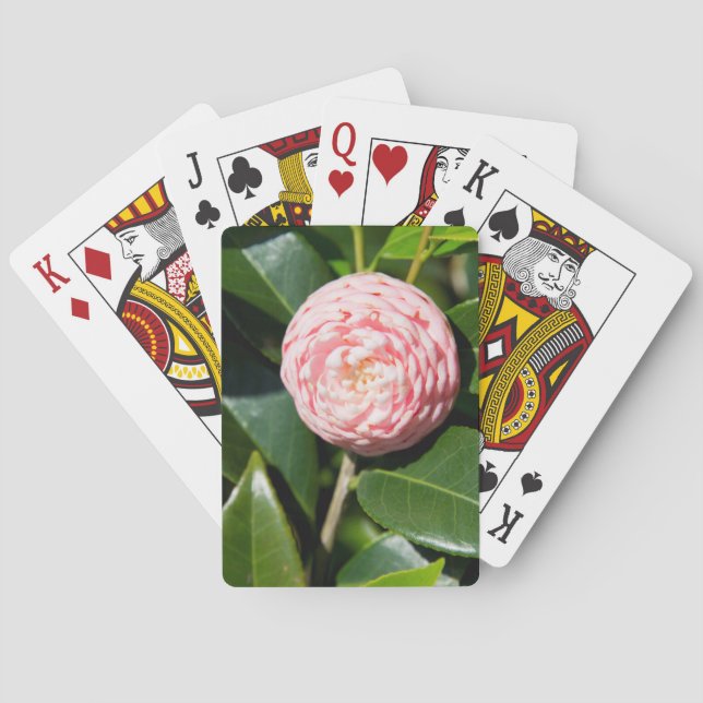 USA, Alabama, Theodore Near Mobile Poker Cards (Back)