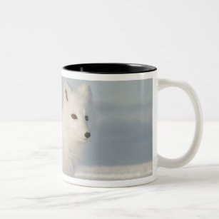 USA, Alaska, 1002 Coastal Plain of the Arctic 4 Two-Tone Coffee Mug