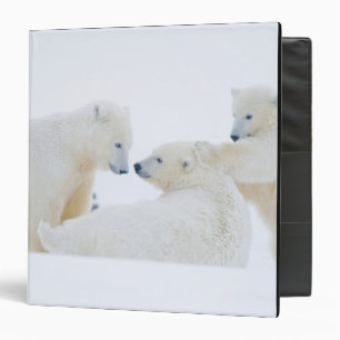 USA, Alaska, 1002 Coastal Plain of the Arctic Binder