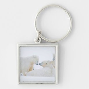 USA, Alaska, 1002 Coastal Plain of the Arctic Keychain