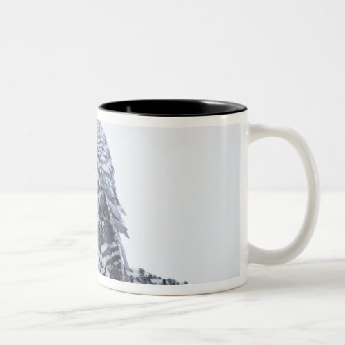 USA Alaska 1002 Coastal Plain of the Arctic Two_Tone Coffee Mug