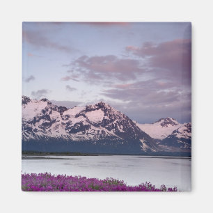 USA, Alaska, Alsek River Valley. View of Alsek Magnet