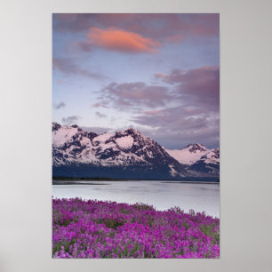 USA, Alaska, Alsek River Valley. View of Alsek Poster