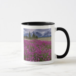 USA, Alaska, Alsek River Valley. View of Mug