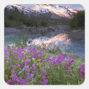 USA, Alaska, Alsek-Tatshenshini Wilderness. Square Sticker