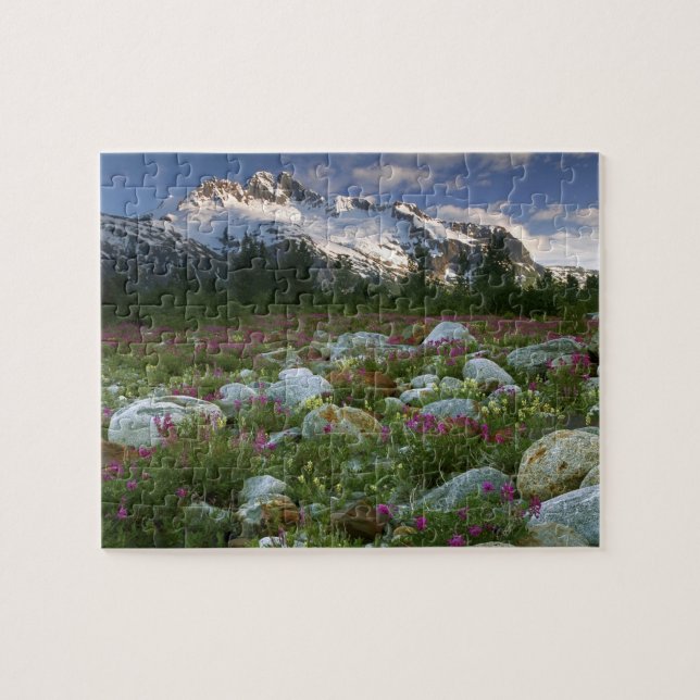 USA, Alaska, Alsek-Tatshenshini Wilderness. View Jigsaw Puzzle (Horizontal)