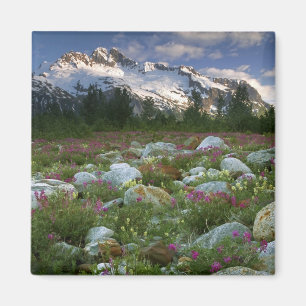 USA, Alaska, Alsek-Tatshenshini Wilderness. View Magnet