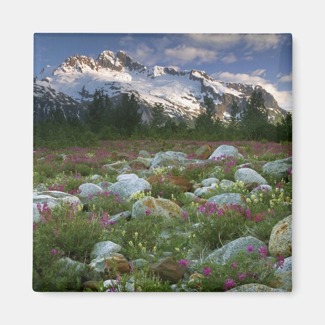 USA, Alaska, Alsek-Tatshenshini Wilderness. View Magnet (Front)
