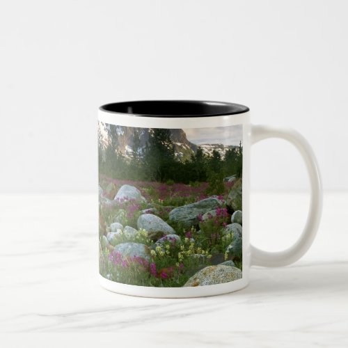 USA Alaska Alsek_Tatshenshini Wilderness View Two_Tone Coffee Mug