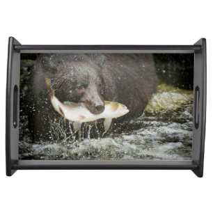 USA, Alaska, Anan Creek. Close-Up Of Black Bear Serving Tray