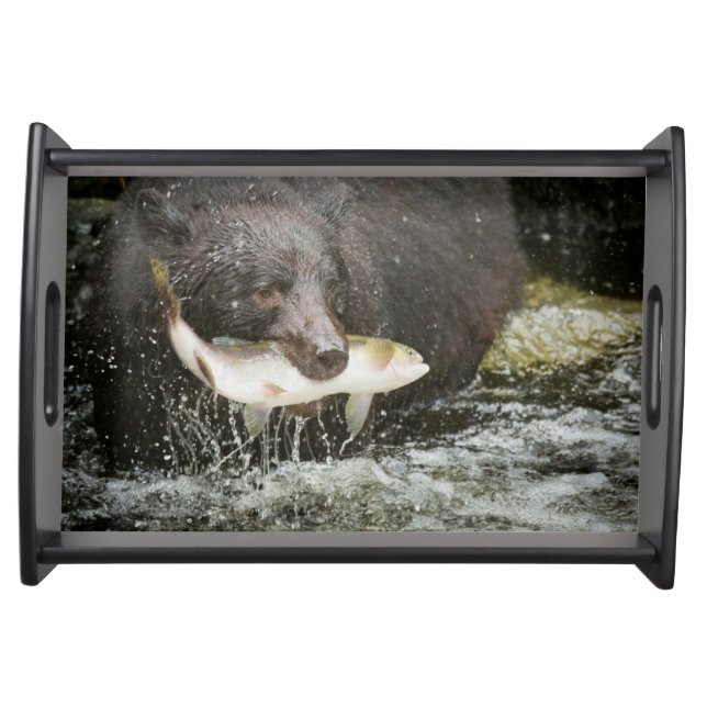 USA, Alaska, Anan Creek. Close-Up Of Black Bear Serving Tray (Front)