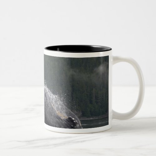 USA Alaska Angoon Humpback Whale Megaptera 2 Two_Tone Coffee Mug