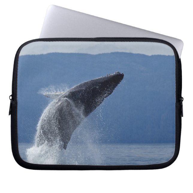 USA, Alaska, Angoon, Humpback Whale (Megaptera Laptop Sleeve (Front)