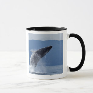 USA, Alaska, Angoon, Humpback Whale (Megaptera Mug