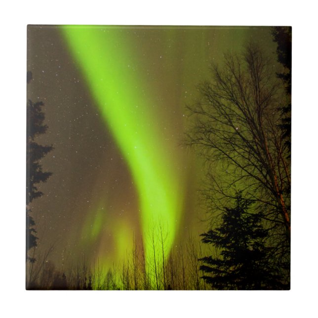 USA, Alaska, Chena Hot Springs. View Of Aurora Tile (Front)