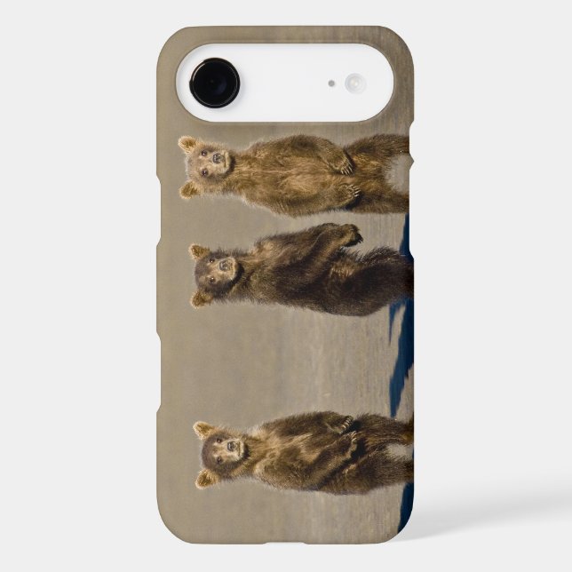 USA. Alaska. Coastal Brown Bear cubs Case-Mate iPhone Case (Back)