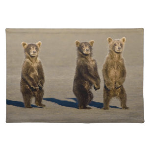 USA. Alaska. Coastal Brown Bear cubs Placemat